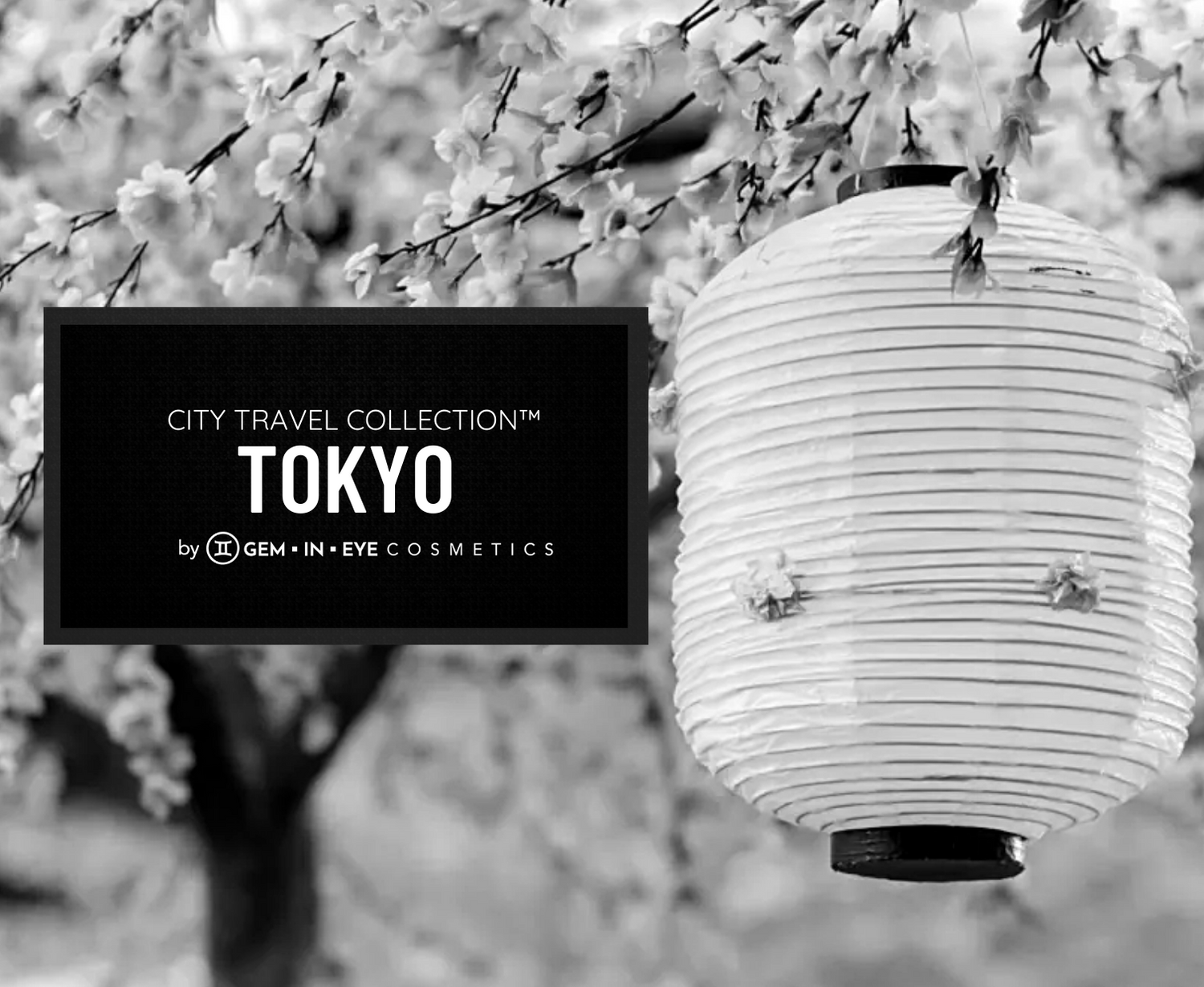Tokyo - GEM▪︎IN▪︎EYE Cosmetics