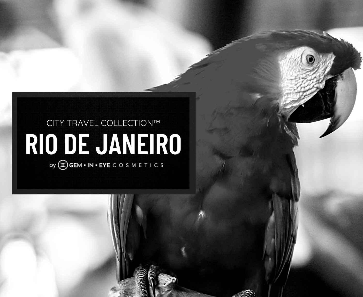 RIO DE JANEIRO - GEM▪︎IN▪︎EYE Cosmetics